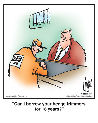 Can I borrow your hedge trimmers for 18 years?
