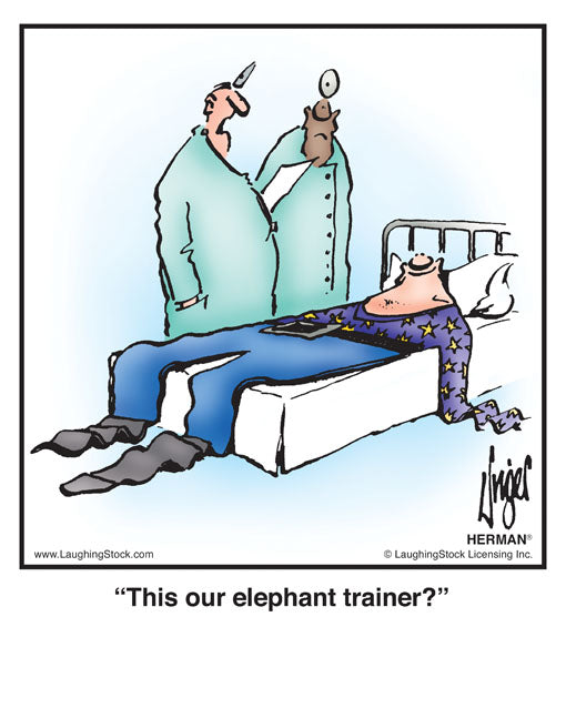 This our elephant trainer?