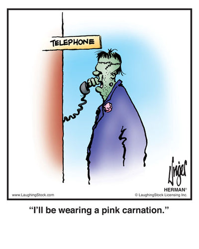 I’ll be wearing a pink carnation.