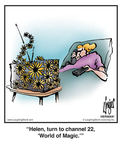 Helen, turn to channel 22, ‘World of Magic.’