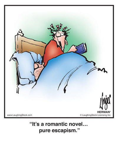 It’s a romantic novel… pure escapism.