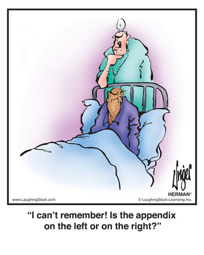 I can’t remember! Is the appendix on the left or on the right?