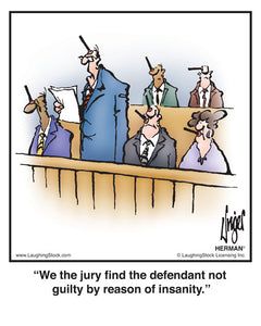 We the jury find the defendant not guilty by reason of insanity.