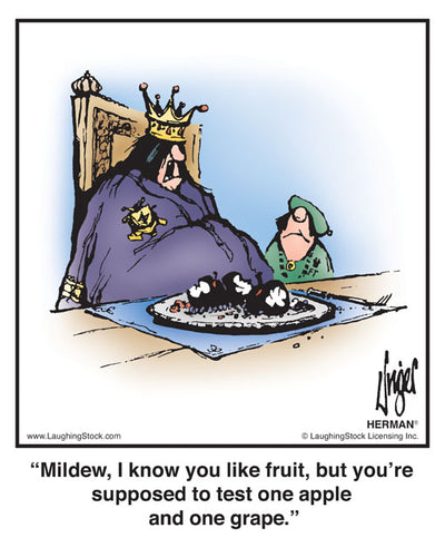 Mildew, I know you like fruit, but you’re supposed to test one apple and one grape.