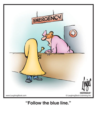 Follow the blue line.