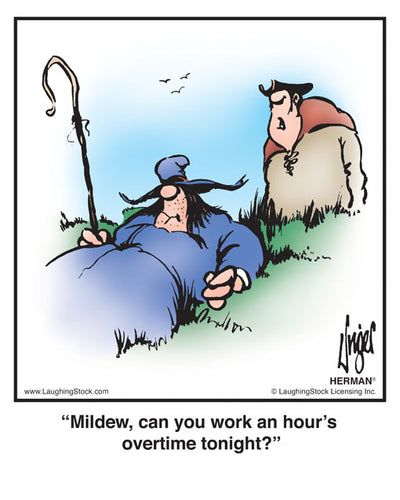 Mildew, can you work an hour’s overtime tonight?