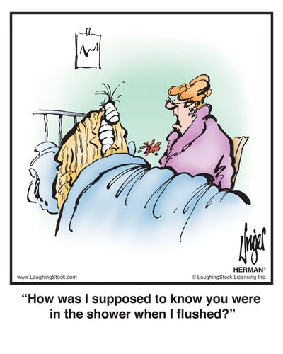 How was I supposed to know you were in the shower when I flushed?