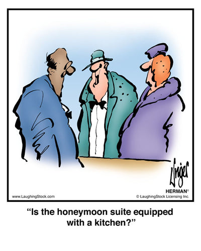 Is the honeymoon suite equipped with a kitchen?