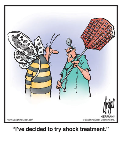 I’ve decided to try shock treatment.