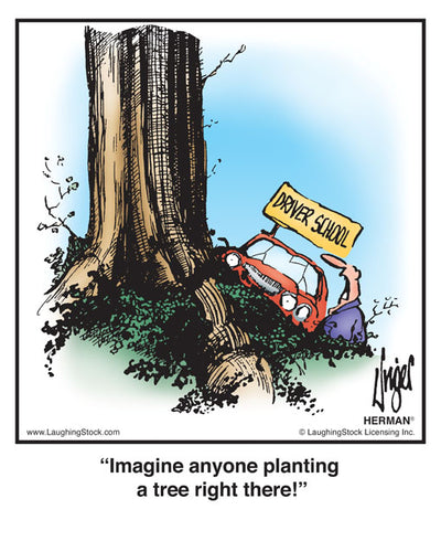 Imagine anyone planting a tree right there!