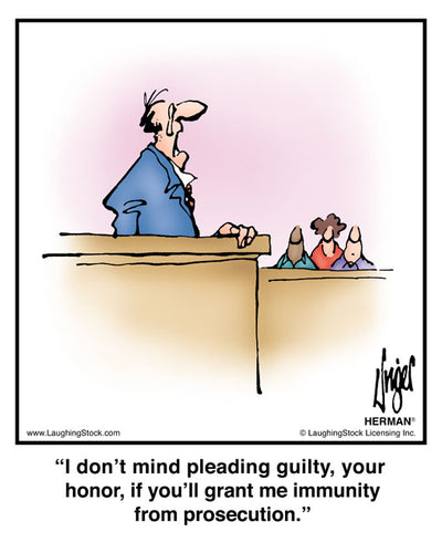 I don’t mind pleading guilty, your honor, if you’ll grant me immunity from prosecution.