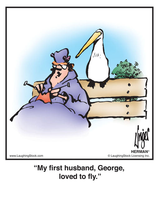 My first husband, George, loved to fly.