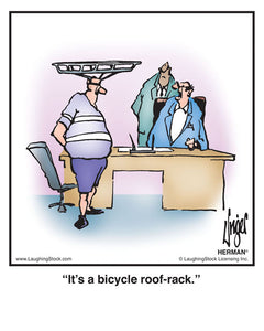 It’s a bicycle roof-rack.