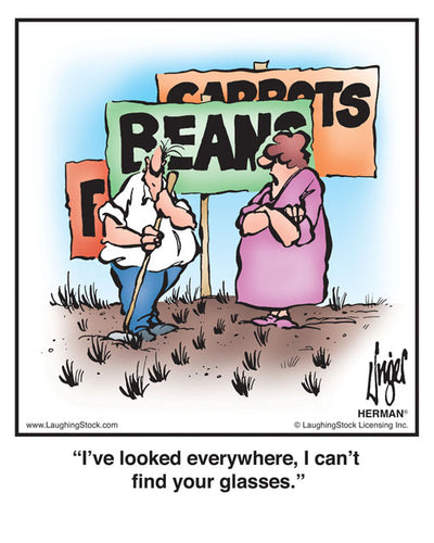 I’ve looked everywhere, I can’t find your glasses.