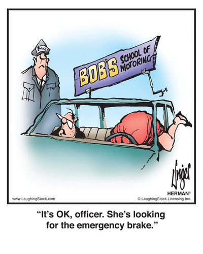 It’s OK, officer. She’s looking for the emergency brake.