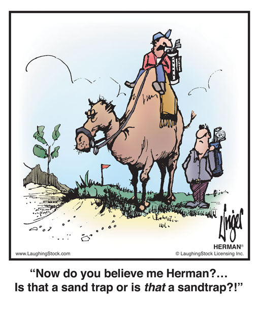 Now do you believe me Herman?… is that a sand-trap or is that a sand-trap?!