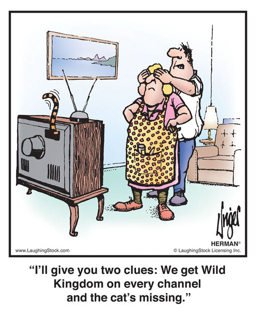 I’ll give you two clues: We get Wild Kingdom on every channel and the cat’s missing.