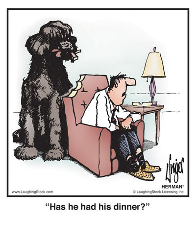 Has he had his dinner?