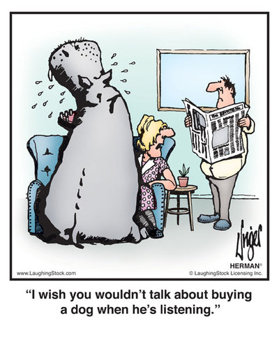 I wish you wouldn’t talk about buying a dog when he’s listening.