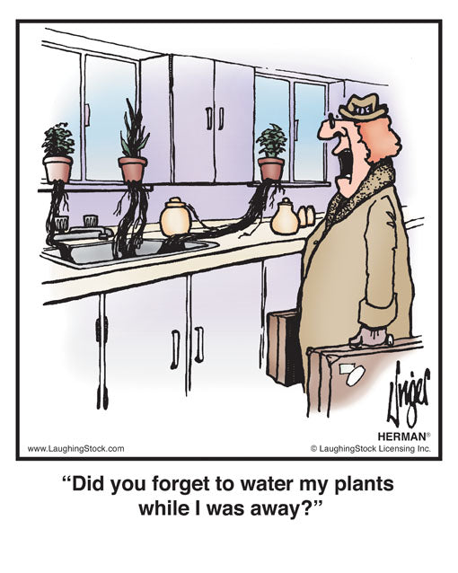 Did you forget to water my plants while I was away?
