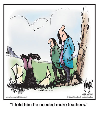 I told him he needed more feathers.