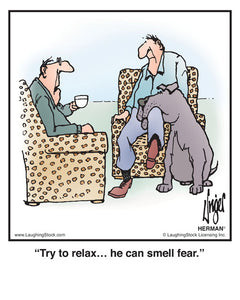 Try to relax… he can smell fear.