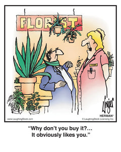 Why don’t you buy it?… It obviously likes you.