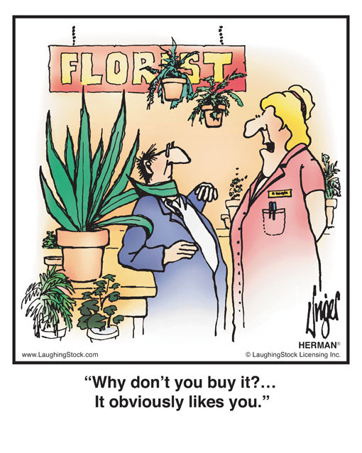 Why don’t you buy it?… It obviously likes you.