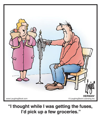 I thought while I was getting the fuses, I’d pick up a few groceries.