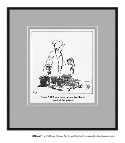 How DARE you shout at me like that in front of the plants.