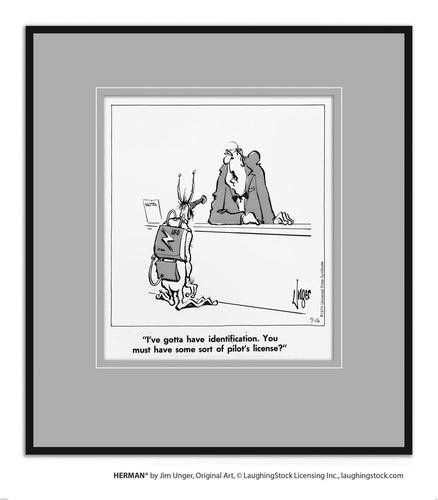 I’ve gotta have identification. You must have some sort of pilot’s license?