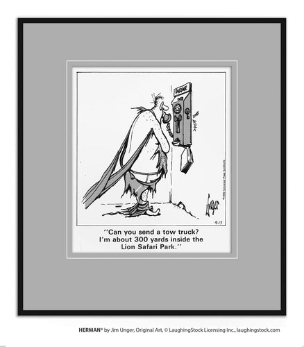 Can you send a tow truck? I’m about 300 yards inside the Lion Safari Park.