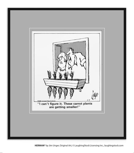 I can’t ﬁgure it. These carrot plants are getting smaller!