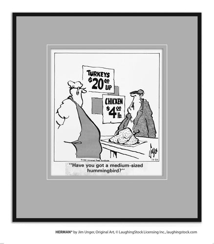 Have you got a medium-sized hummingbird?