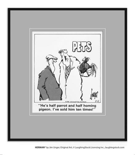 He’s half parrot and half homing pigeon. I’ve sold him ten times!