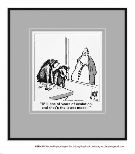 Millions of years of evolution, and that’s the latest model!