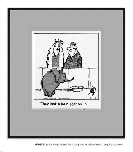 They look a lot bigger on TV!