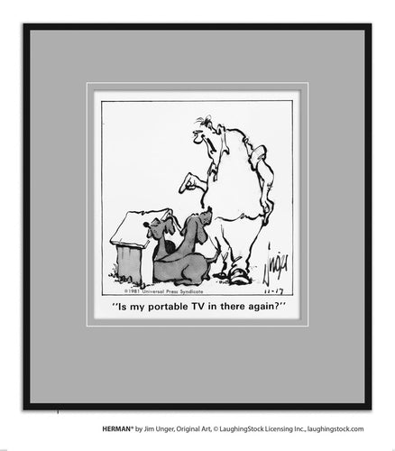 Is my portable TV in there again?