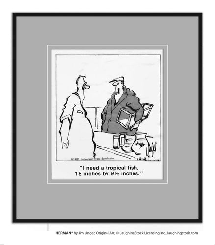 I need a tropical fish, 18 inches by 9 _ inches.