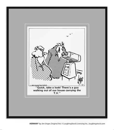 Quick, take a look! There’s a guy walking out of our house carrying the T. V.