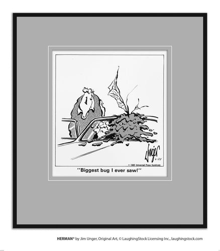 Biggest bug I ever saw!