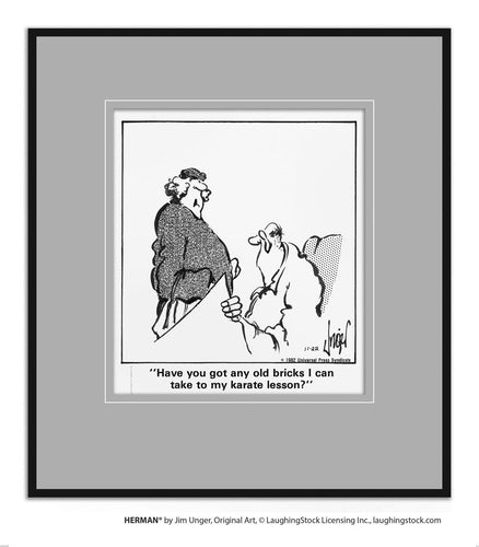 Have you got any old bricks I can take to my karate lesson?