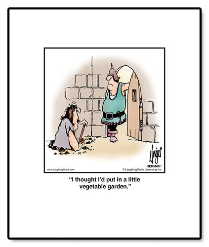 I thought I’d put in a little vegetable garden.