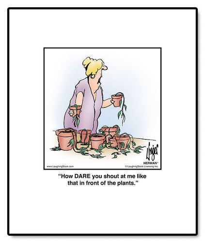 How DARE you shout at me like that in front of the plants.