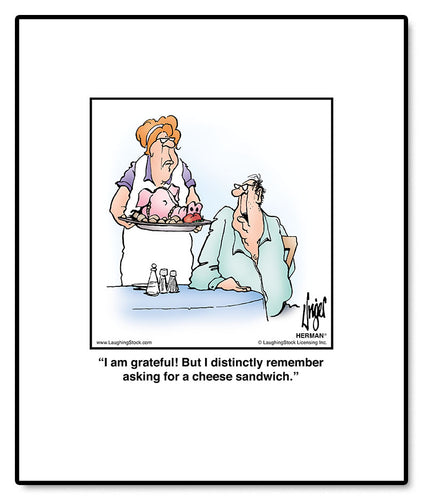 I am grateful! But I distinctly remember asking for a cheese sandwich.