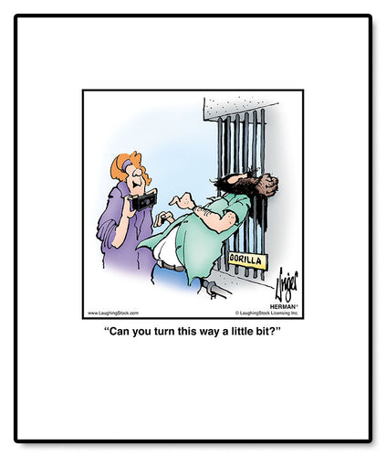 Can you turn this way a little bit?