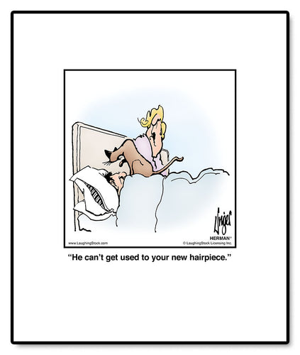 He can’t get used to your new hairpiece.