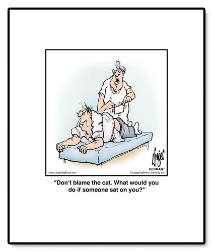 Don’t blame the cat. What would you do if someone sat on you?