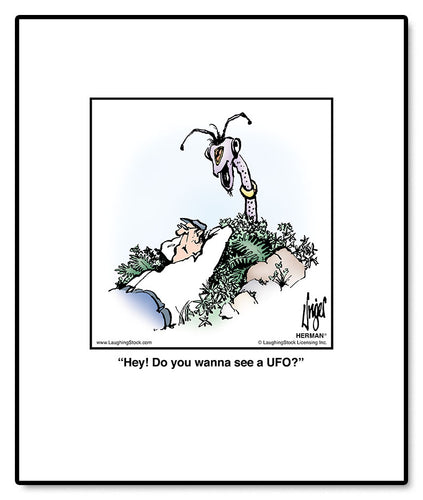 Hey! Do you wanna see a UFO?