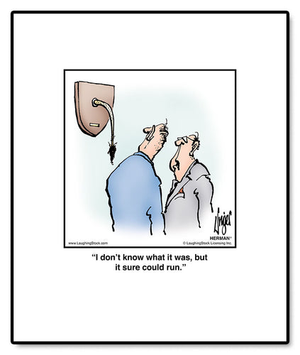 I don’t know what it was, but it sure could run.